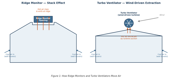 ridge vs turbo